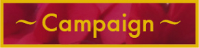 Campaign